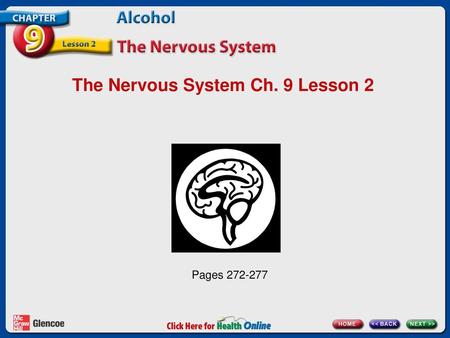 The Nervous System Ch. 9 Lesson 2