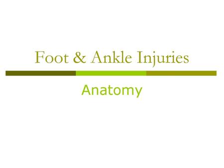Foot & Ankle Injuries Anatomy.