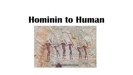 Hominin to Human.