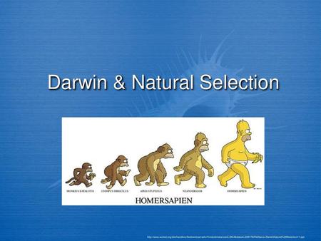 Darwin & Natural Selection
