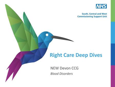 Right Care Deep Dives NEW Devon CCG Blood Disorders.