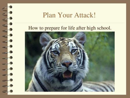 Plan Your Attack! How to prepare for life after high school.
