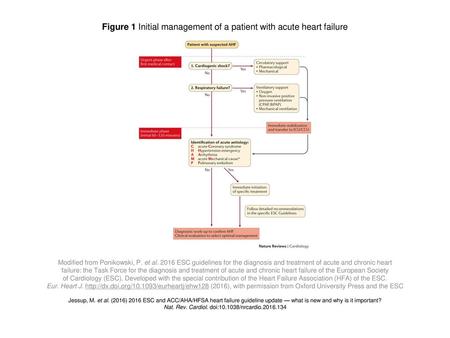 Figure 1 Initial management of a patient with acute heart failure