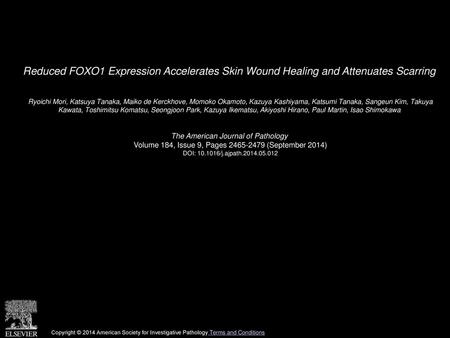 Reduced FOXO1 Expression Accelerates Skin Wound Healing and Attenuates Scarring  Ryoichi Mori, Katsuya Tanaka, Maiko de Kerckhove, Momoko Okamoto, Kazuya.