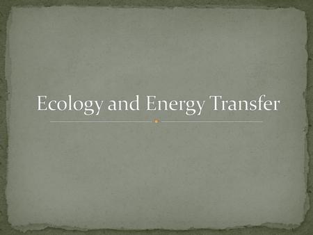 Ecology and Energy Transfer