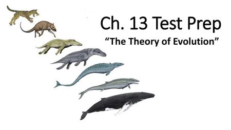 “The Theory of Evolution”