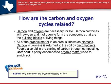 How are the carbon and oxygen cycles related?