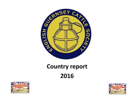 Country report 2016.
