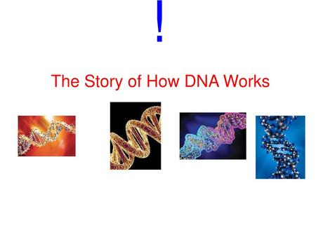 The Story of How DNA Works