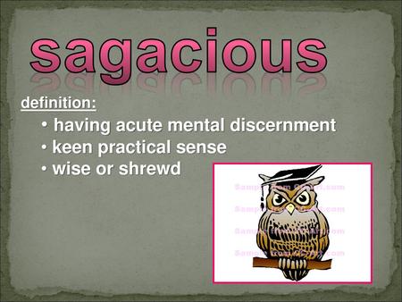 sagacious having acute mental discernment keen practical sense