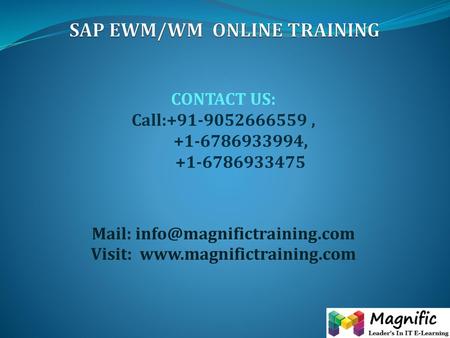 SAP EWM/WM ONLINE TRAINING