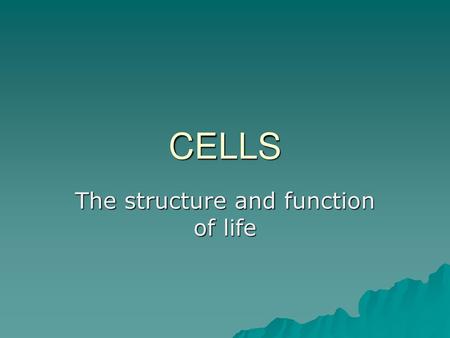 The structure and function of life