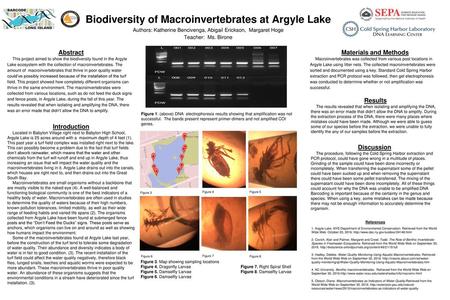 Biodiversity of Macroinvertebrates at Argyle Lake