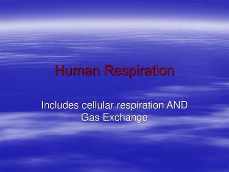 Includes cellular respiration AND Gas Exchange