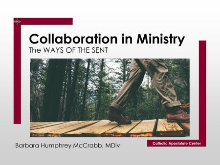 Collaboration in Ministry The WAYS OF THE SENT