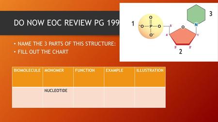 DO NOW EOC REVIEW PG 199 NAME THE 3 PARTS OF THIS STRUCTURE: