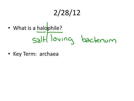 2/28/12 What is a halophile? Key Term: archaea.