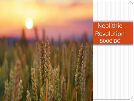 Neolithic Revolution 8000 BC