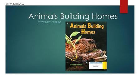 Animals Building Homes