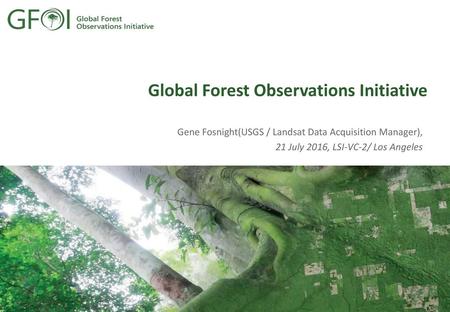 Global Forest Observations Initiative