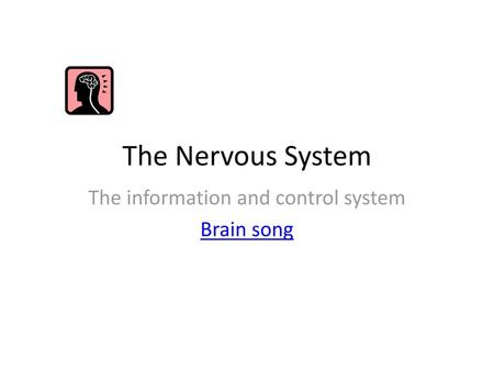 The information and control system Brain song