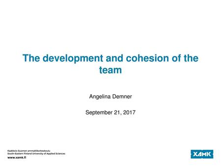 The development and cohesion of the team