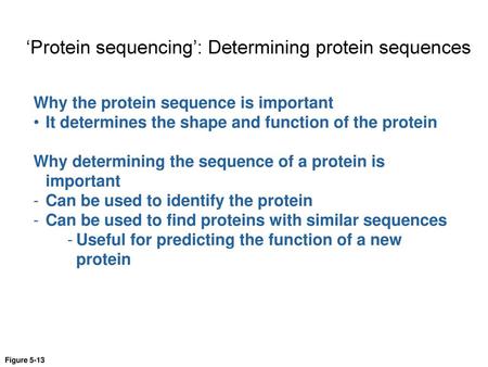 ‘Protein sequencing’: Determining protein sequences