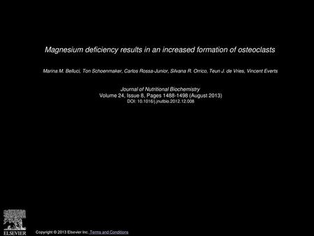 Magnesium deficiency results in an increased formation of osteoclasts