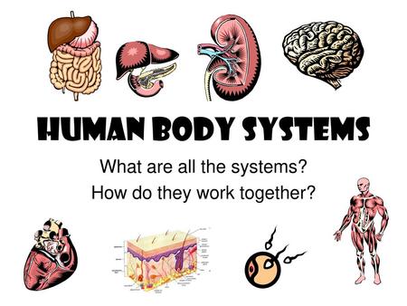 What are all the systems? How do they work together?