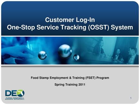 Customer Log-In One-Stop Service Tracking (OSST) System