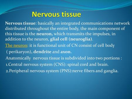Nervous tissue Nervous tissue: basically an integrated communications network distributed throughout the entire body, the main component of this tissue.