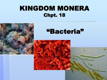 KINGDOM MONERA Chpt. 18 “Bacteria”.
