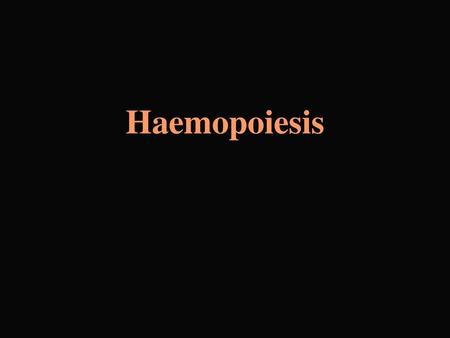 Haemopoiesis.