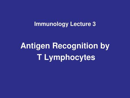 Immunology Lecture 3 Antigen Recognition by T Lymphocytes