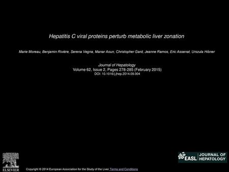Hepatitis C viral proteins perturb metabolic liver zonation