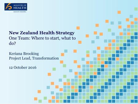 New Zealand Health Strategy One Team: Where to start, what to do?