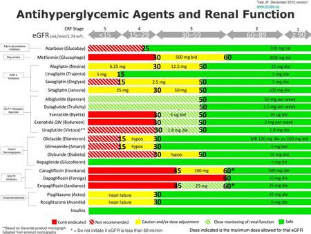 Antihyperglycemic Agents and Renal Function