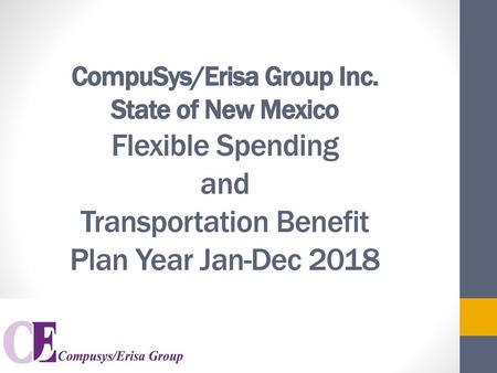 CompuSys/Erisa Group Inc