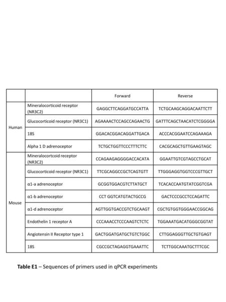 Table E1 – Sequences of primers used in qPCR experiments