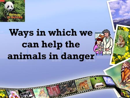 Ways in which we can help the animals in danger