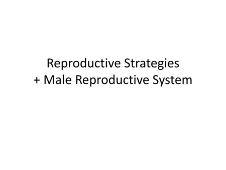 Reproductive Strategies + Male Reproductive System