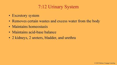 7:12 Urinary System Excretory system