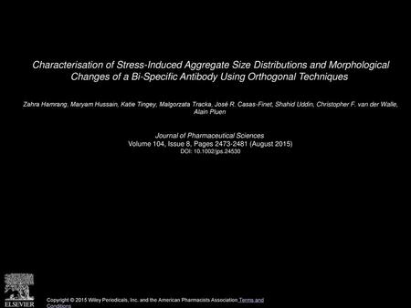 Characterisation of Stress-Induced Aggregate Size Distributions and Morphological Changes of a Bi-Specific Antibody Using Orthogonal Techniques  Zahra.