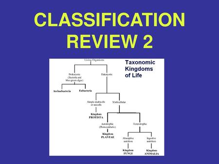 CLASSIFICATION REVIEW 2