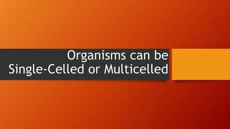 Organisms can be Single-Celled or Multicelled