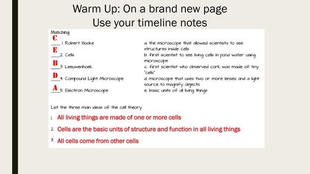 Warm Up: On a brand new page Use your timeline notes