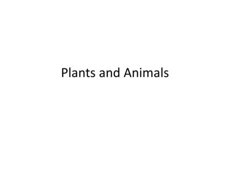 Plants and Animals.
