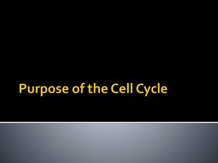 Purpose of the Cell Cycle