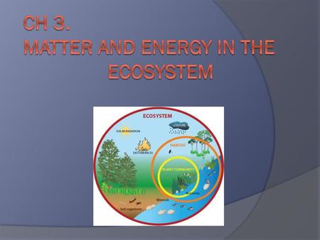 Ch 3. Matter and Energy in the Ecosystem