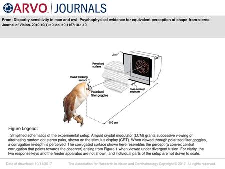 From: Disparity sensitivity in man and owl: Psychophysical evidence for equivalent perception of shape-from-stereo Journal of Vision. 2010;10(1):10. doi:10.1167/10.1.10.